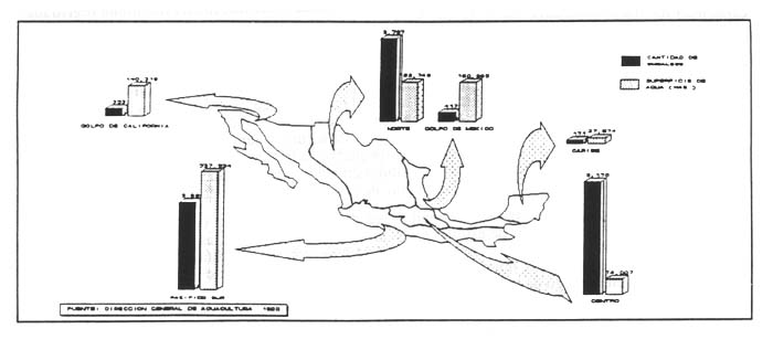 Figura 5.2