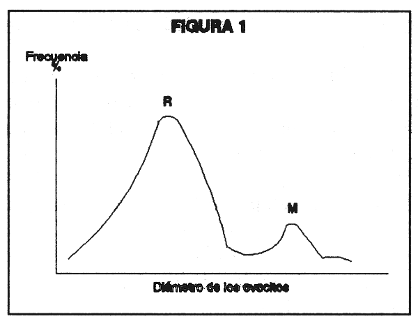 Figura 1