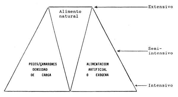 FIGURA 26