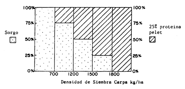 FIGURA 28