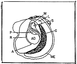 Figure 2-5