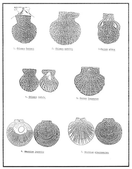 Figure 4.1.