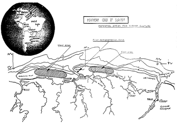 Northen Coast of Surimam