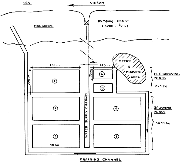 GROWING FARM : 50 ha