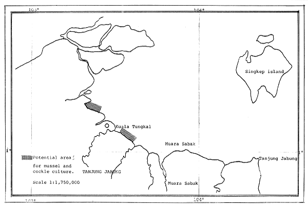 Fig. 20