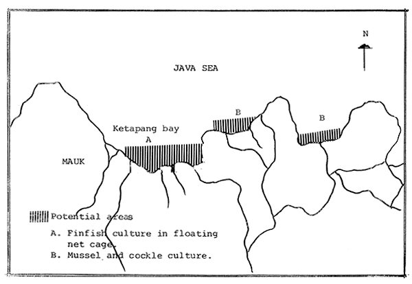 Fig. 25