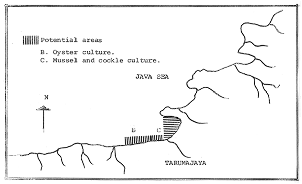 Fig. 26