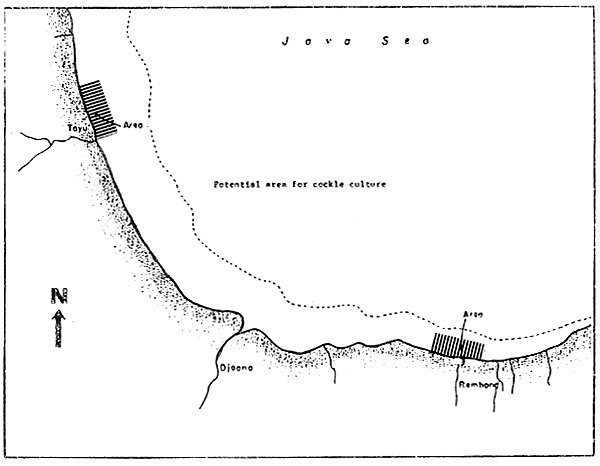 Fig. 27