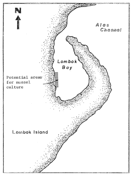 Fig. 31