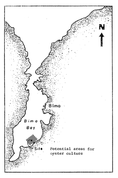 Fig. 33