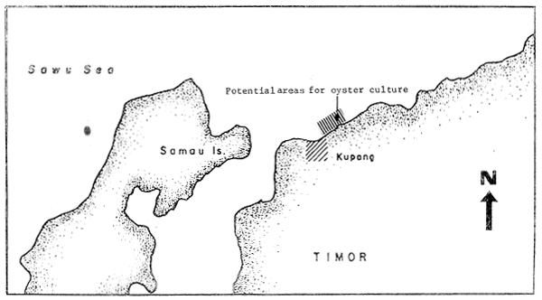 Fig. 35