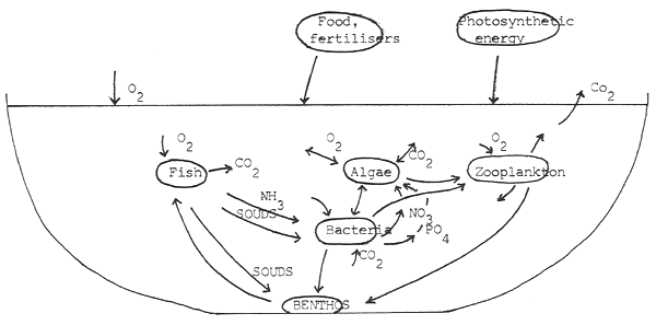 Fig. 19.