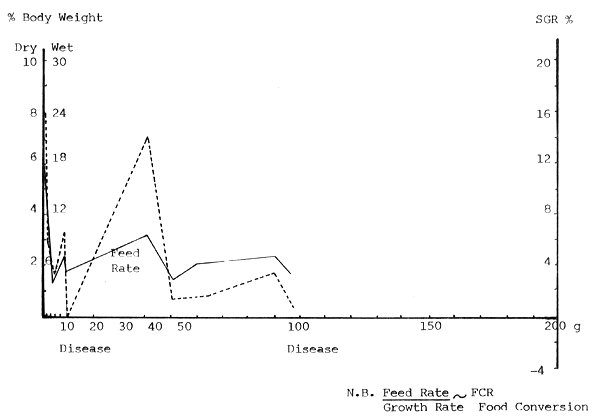 Fig. 21.