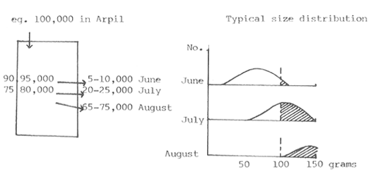 Fig. 27.