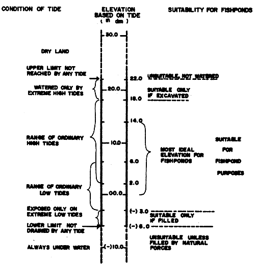 FIGURE 11a