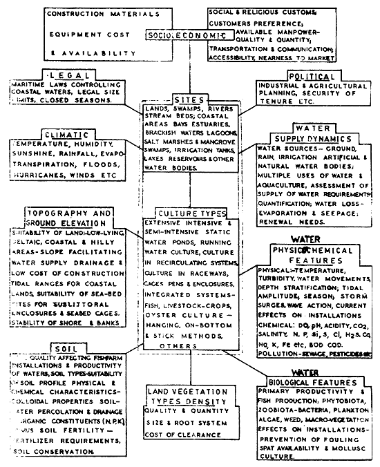 Fig. 1.1.B