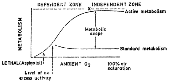 Fig. 9.9.