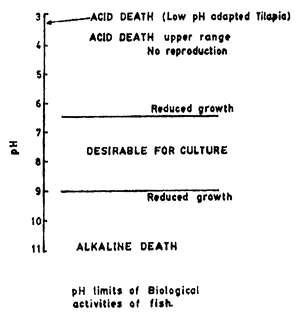 Fig. 9.13.