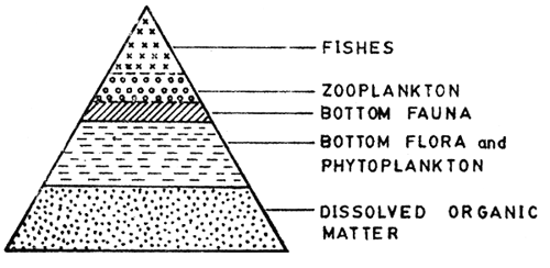 Fig. 10.1.