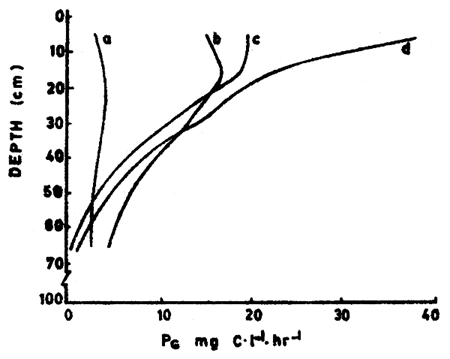 Fig. 10.4.