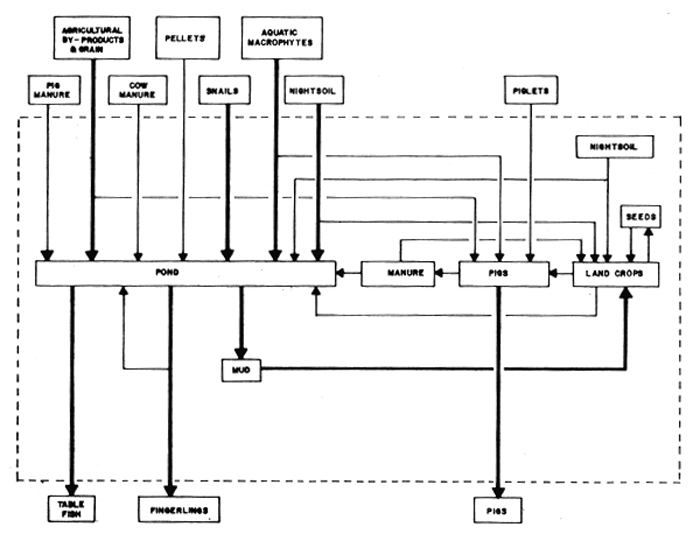 Fig.  2