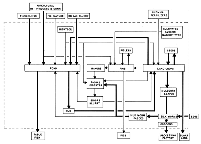 Fig. 10