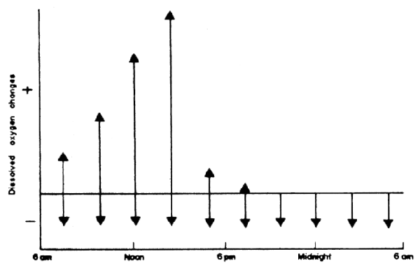 Fig.43 (b)