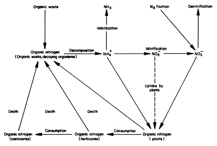 Fig. 45