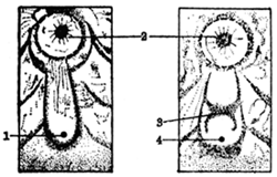 Fig. 1.11