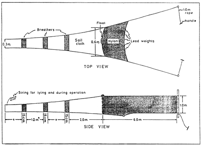 Fig. 8