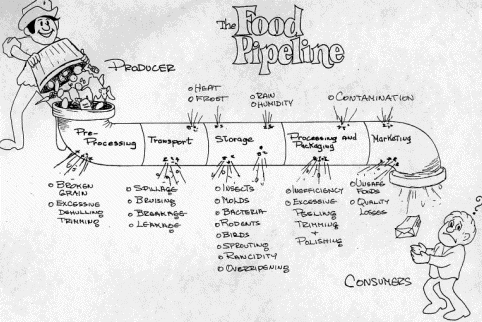 The Food Pipeline