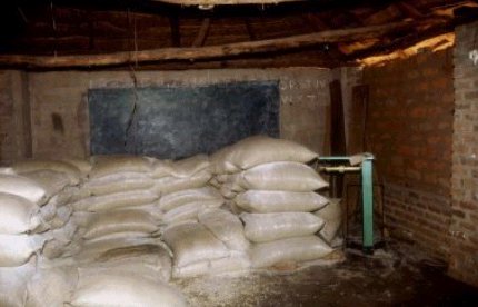 Photo 3 : Village rural dans le district de Siavonga. Entrepôt de l’Armée du Salut infesté par le grand capucin des céréales,Zambie, FAO, 1997