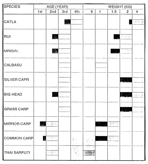 Table 11