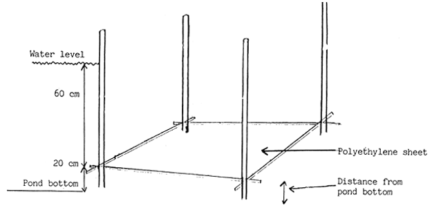 Figure 14.