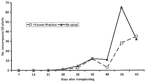 Figure 1 (A)