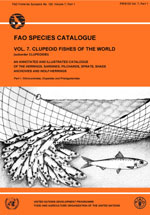 FAO species catalogue. Vol.7. Clupeoid fishes of the world (Suborder Clupeoidei). An annotated and illustrated catalogue of the herrings, sardines, pilchards, sprats, shads, anchovies and wolf-herrings. Part 1. Chirocentridae, Clupeidae and Pristigasteridae