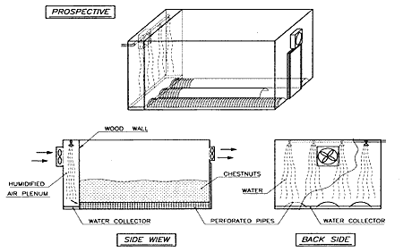 Fig. 17: Ventilated wet air storage system for chestnuts in bulks