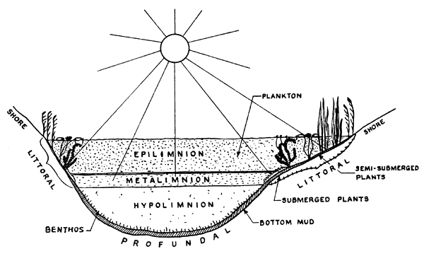 Figure 65