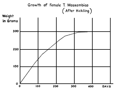 Figure 71