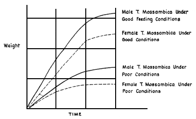 Figure 71