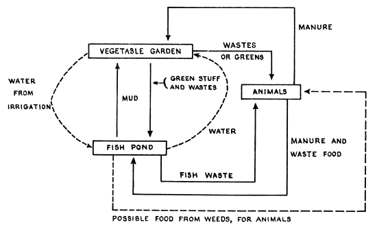 Figure 28