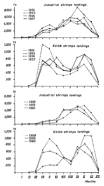 Fig. 19