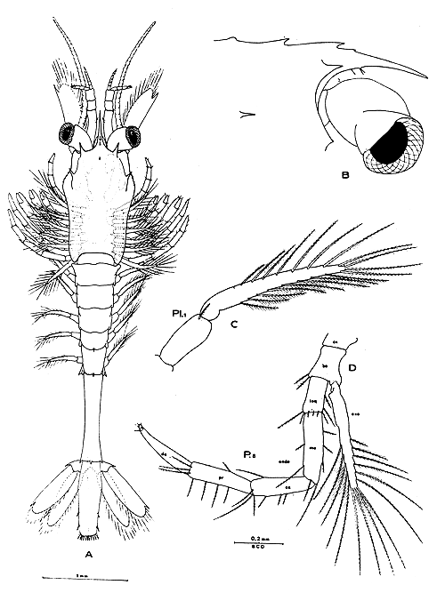 Fig. 15