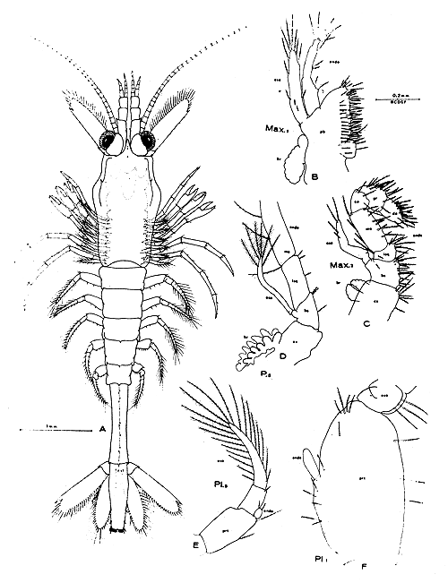 Fig. 16