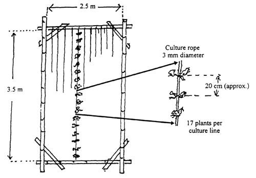 Figure7