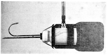 X010F04.jpg (15963 bytes)