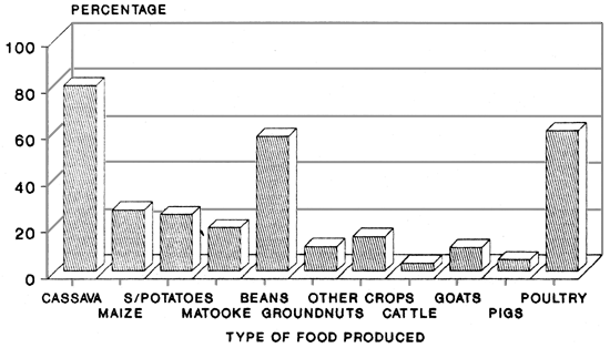 FIG. 25