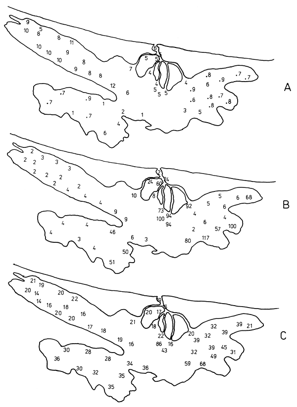 Fig. 9