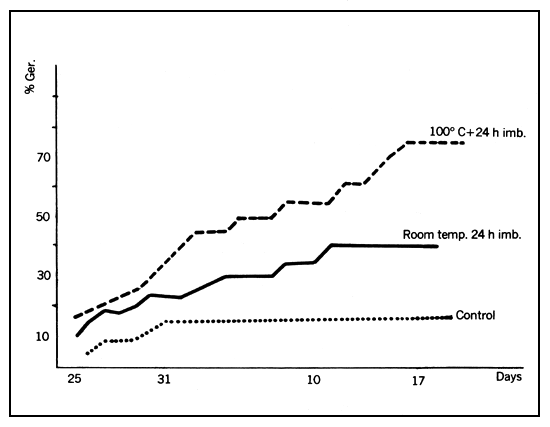 Chart 4