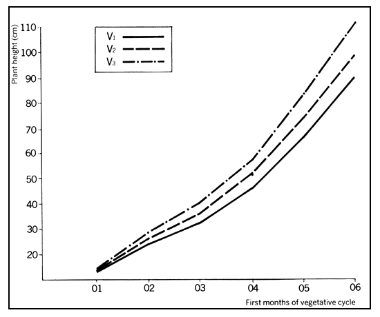 Chart 6B